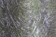 Crowgate Street fibreglass roof work